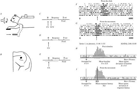 Scheme showing acquisition of the conditioned response and primary... | Download Scientific Diagram