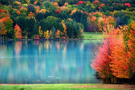 Discovering Pennsylvania Fall Foliage: A Scenic Guide - Minneopa Orchards