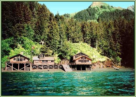 Cabin by the lake | Alaska fishing, Alaska wilderness, Alaska travel