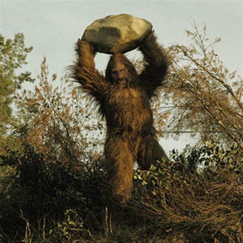 Cryptomundo » If Bigfoot was Real He Would Attack Humans More Often