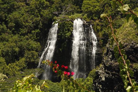 7+ Best Easy-to-view Waterfalls in Kauai