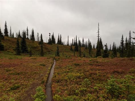 Hiking the Wonderland Trail: How to Plan a Thru-Hike - Where The Road Forks