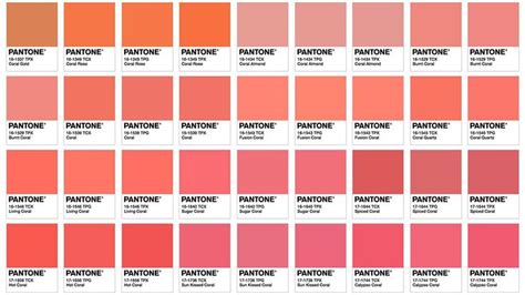 Pantone kleur 2019 is bekend: Living Coral | Rouge à lèvres corail ...