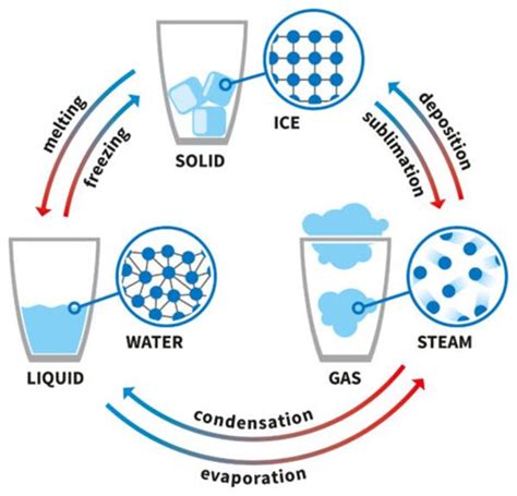 Solid Liquid Gas Diagram