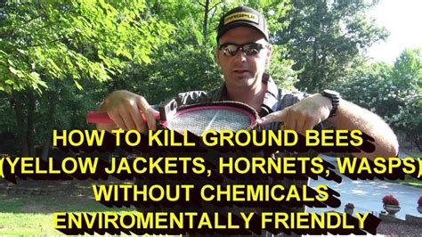 KILL YELLOW JACKETS NEST (ground bees)WITHOUT POISON OR CHEMICALS...IT ...