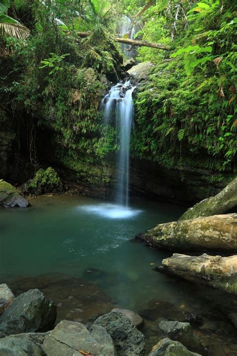 The Most Beautiful Waterfalls in Puerto Rico | Puerto rico trip, El ...