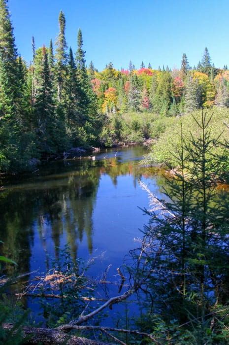 6 Best Hiking Trails in Algonquin Park - Avrex Travel