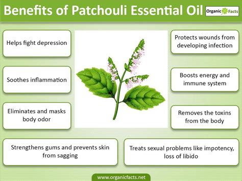 Pin on Patchouli Essential Oil benefits