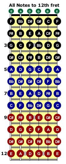 Notes On The Neck - Neck Diagrams