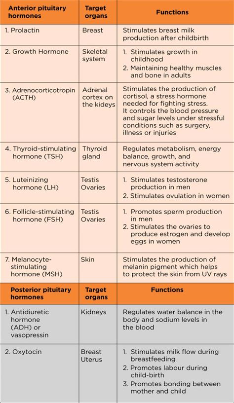 Pituitary Gland Hormones Imbalance