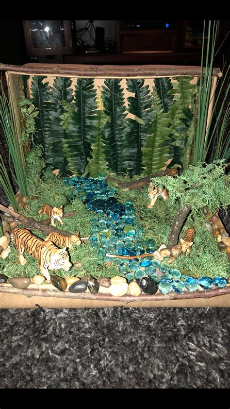 Tiger diorama #rainforest #tiger #shoeboxdioroma #tigerdiorama # ...
