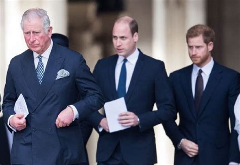 King Charles Sends Subtle Message to Prince William on Handling Prince ...