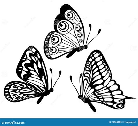 Set Of Black And White Butterfly Stock Vector - Illustration: 29905985