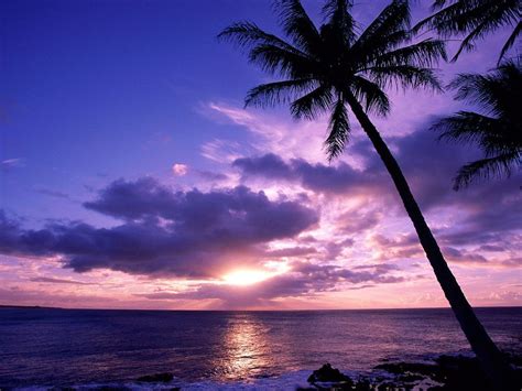 Paradise Sunset Wallpapers - 4k, HD Paradise Sunset Backgrounds on WallpaperBat