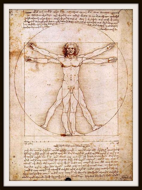 Leonardo Da Vinci Anatomy Drawings Pdf