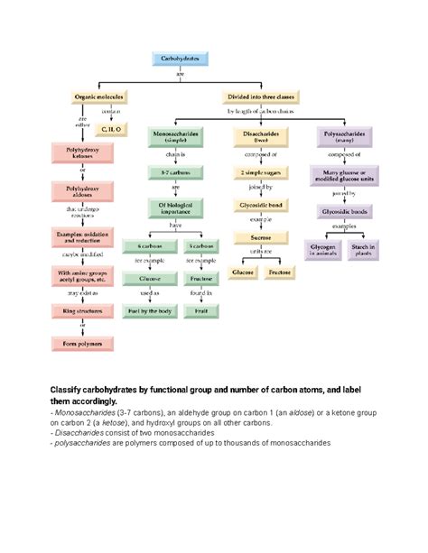 Carbohydrates: Functional Groups Carbon Atoms and Classification - Studocu