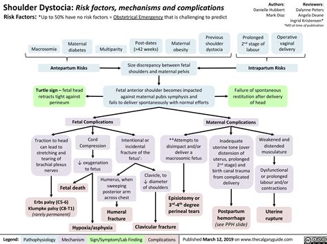 Shoulder Dystocia: Complications | Calgary Guide