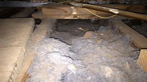 Loose fill asbestos insulation | asbestos.nsw.gov.au