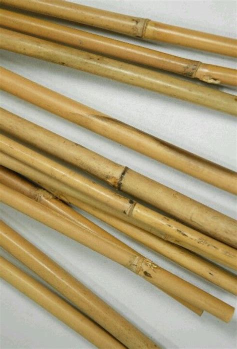 Bamboo | Bamboo poles, Save on crafts, Bamboo