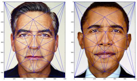 Triangulations and face morphing - Mapping Ignorance