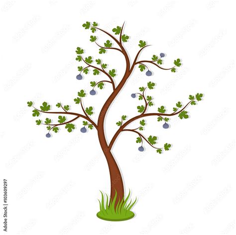 Fig tree with fruits Stock Vector | Adobe Stock