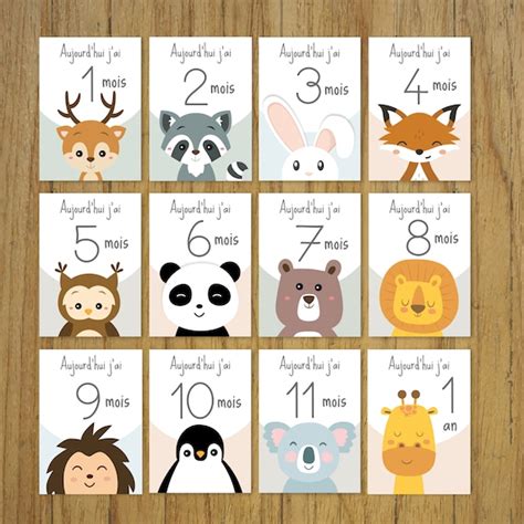 Cartes étapes bébé mois par mois animaux cadeau naissance - Etsy France