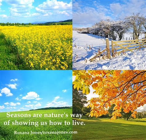 Quotes About Changing Seasons. QuotesGram