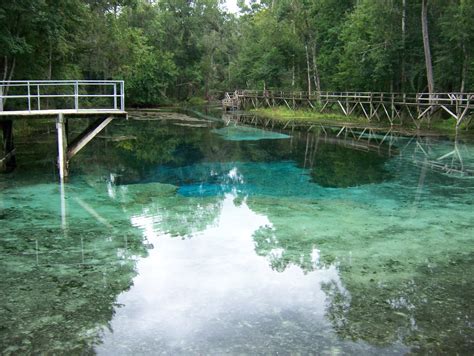 Blue Springs (Gilchrist County) - Seeking Lost: Thru-Hiking & Backpacking Adventures Seeking ...