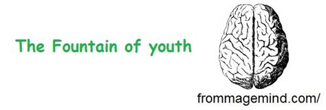 The Fountain of youth – From Mage Mind