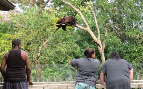 Topeka Zoo - Topeka, Kansas