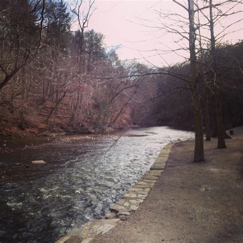 Wissahickon Creek | Rainbow trout fishing, Gorgeous gardens, Naturally beautiful