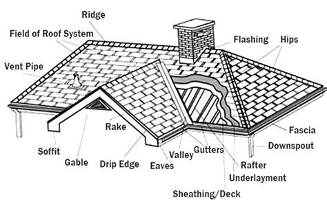 Roofing 101: A Comprehensive Guide to Roof Types and Maintenance