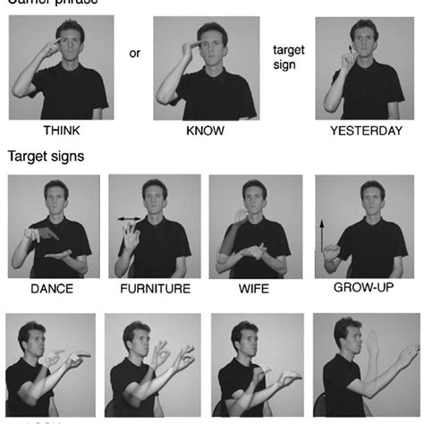 Illustrations of the carrier phrase and the target ASL signs. | Download Scientific Diagram