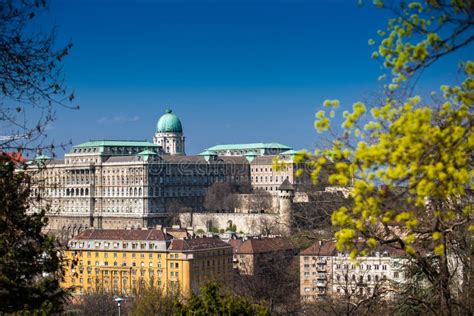 Buda Castle Seen from the Garden of Philosophy Stock Photo - Image of ...