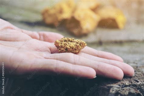 Gold in its origin as gold nuggets in the mine is in the hands of men ...