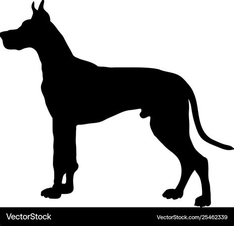 Great dane dog silhouette Royalty Free Vector Image