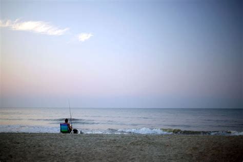 Beach Clean-Up | Surfside Beach | Volunteer Opportunities, Outdoors ...