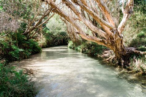 Eli's Creek: Fraser Island - 4X4 Vehicle Hire Fraser Island