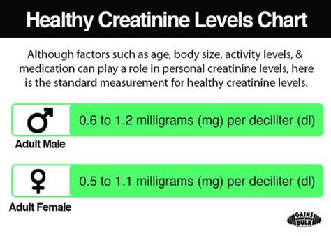 Everything You Should Know About Creatinine Levels For Health & Fitnes ...