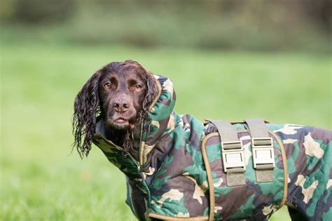 The Best Dog drying coats – The Cotswold Spaniels