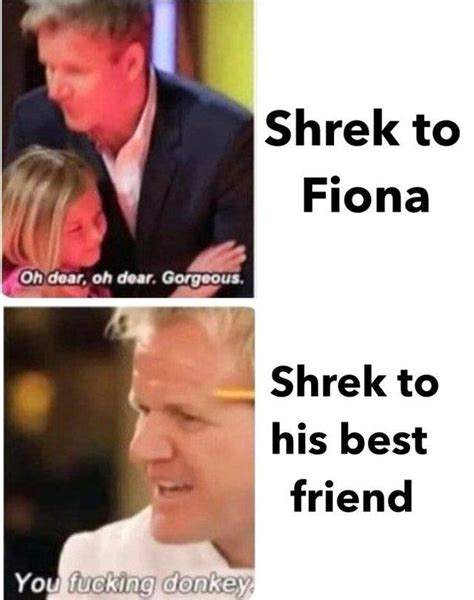 Gordon Ramsay Donkey Meme Template