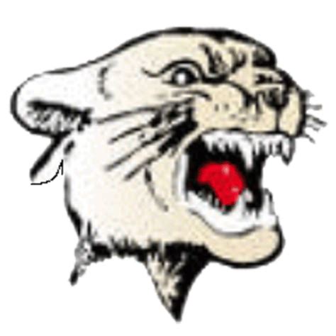 Cherry Hill East Cougars | MascotDB.com