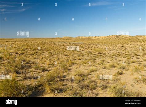 desert landscape, steppe in Kazakhstan, dry grass and sand dunes Stock Photo - Alamy