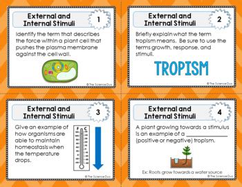 External and Internal Stimuli Task Cards by The Science Duo | TPT