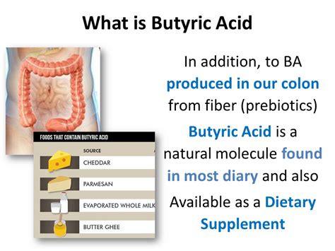 Butyric Acid From Bacteria - Dr. Maroon