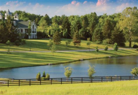 WinStar Farm - Thoroughbred Stallions - Versailles, KY | Horse farms ...