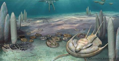 CAMBRIAN EXPLOSION REVEALS TRANSITIONAL FORMS ARE MISSING – Evolution is a Myth