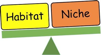 Difference Between Habitat and Niche (with Comparison Chart) - Bio Differences