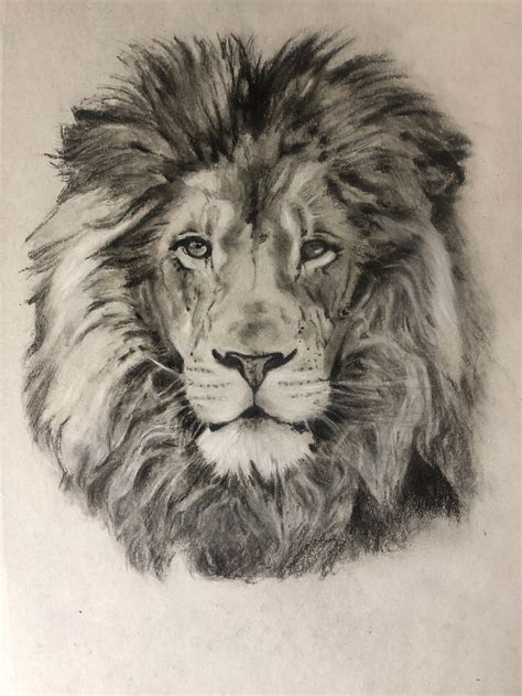 [29+] Easy Lion Image Drawing