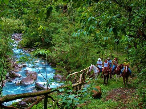 Blue River Resort Hot Springs and Dino Park - Tour Guanacaste, bringing Costa Rica to Life ...